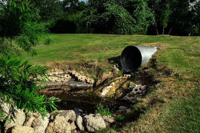 Professional sewage cleanup and drainage restoration